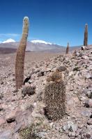 248_Weg nach Tatio 